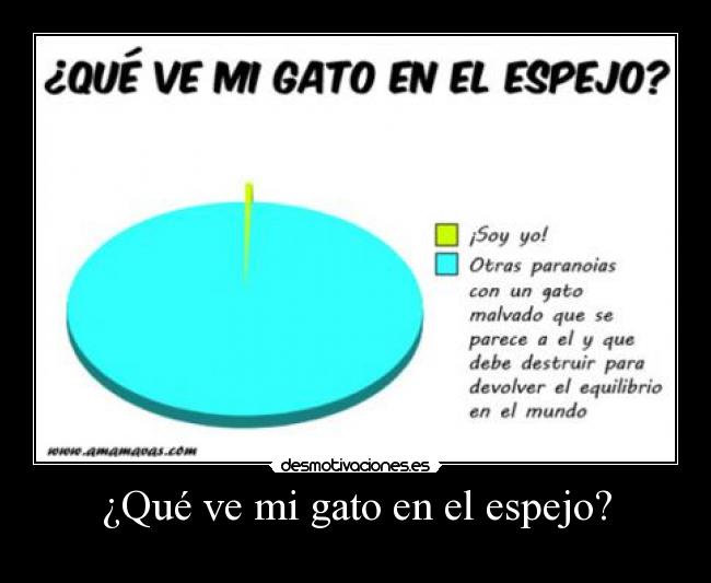 ¿Qué ve mi gato en el espejo? -