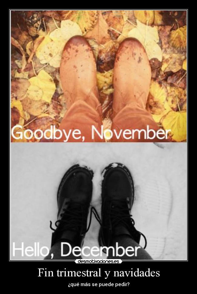 Fin trimestral y navidades - ¿qué más se puede pedir?