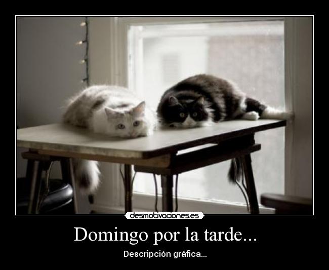 carteles mak_k desmotivaciones