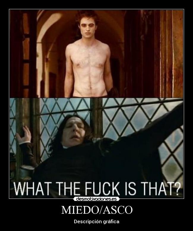 MIEDO/ASCO - Descripción gráfica