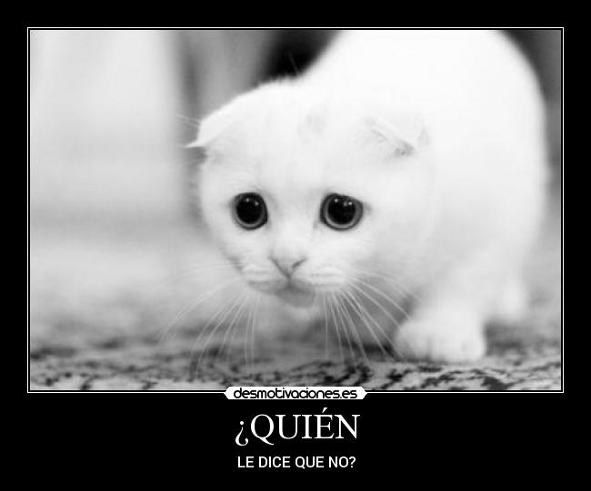 ¿QUIÉN -