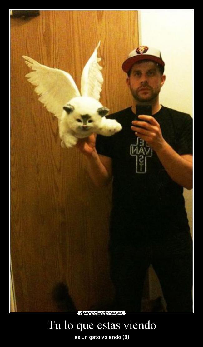 Tu lo que estas viendo -