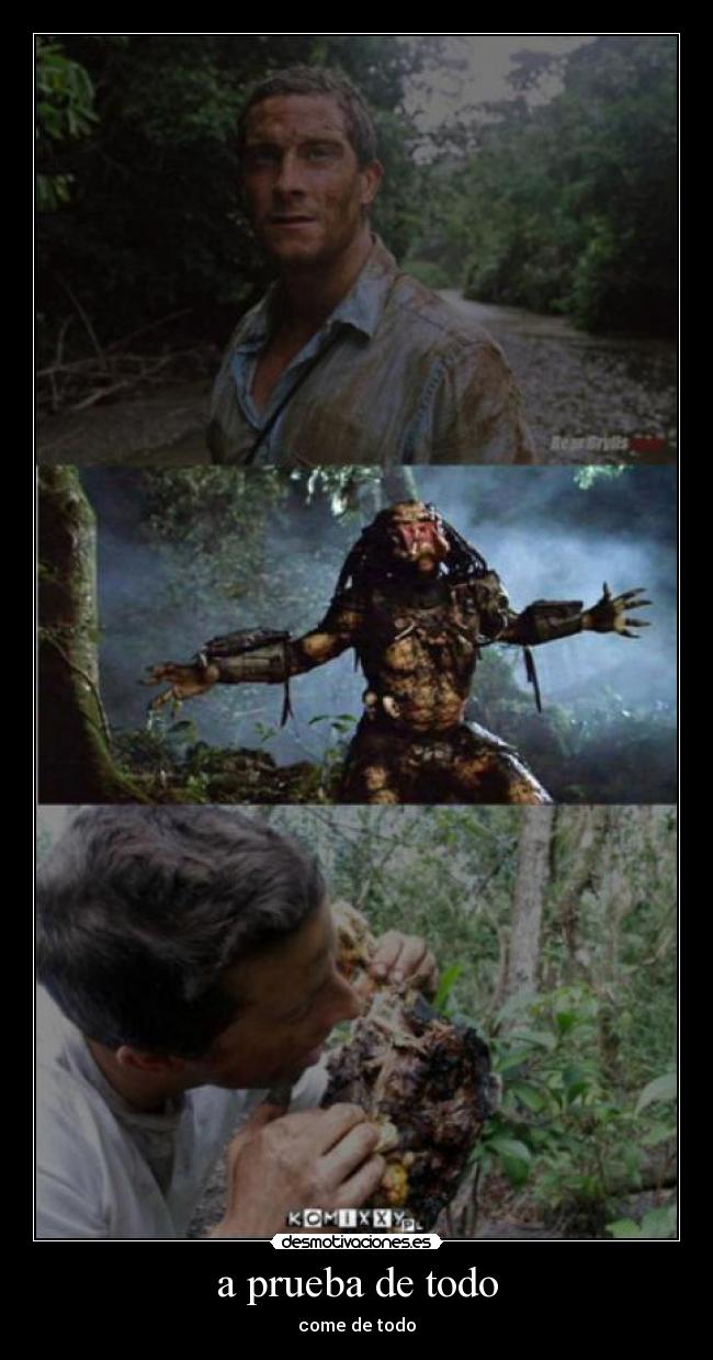 a prueba de todo - come de todo
