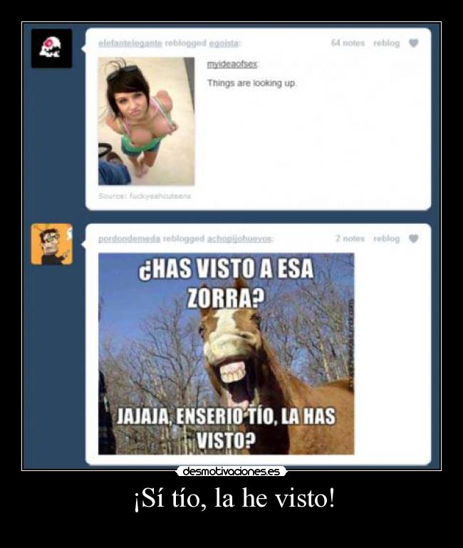 ¡Sí tío, la he visto! -
