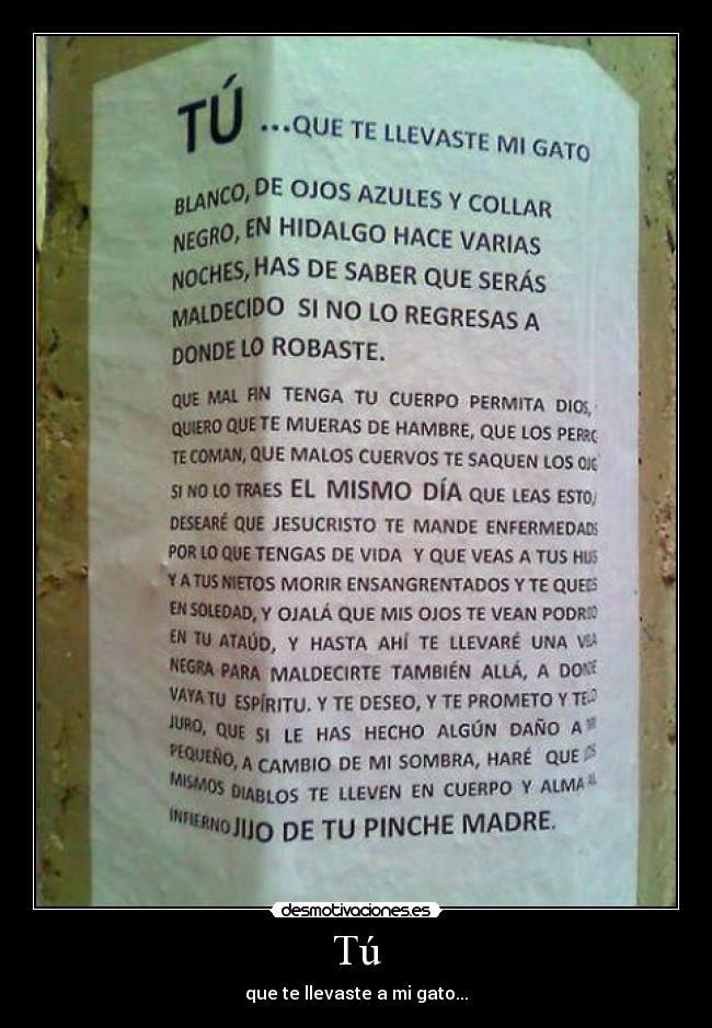 Tú - que te llevaste a mi gato...