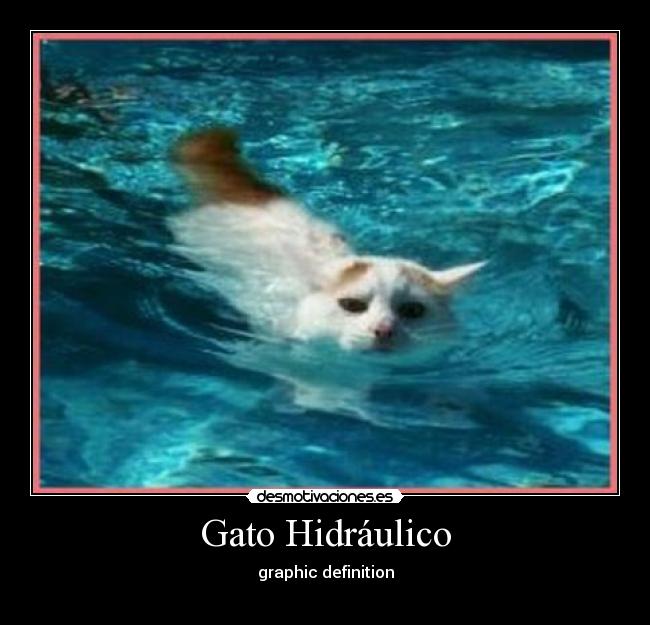 Gato Hidráulico -