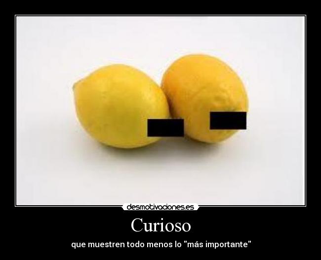 Curioso - 