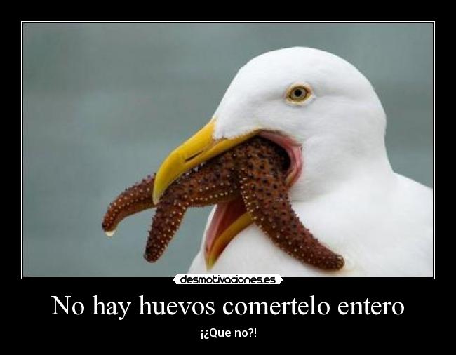 No hay huevos comertelo entero - 