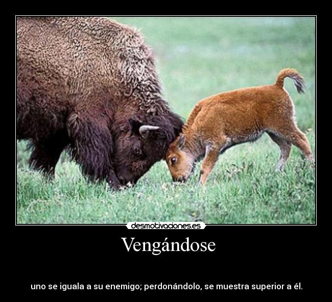 Vengándose -