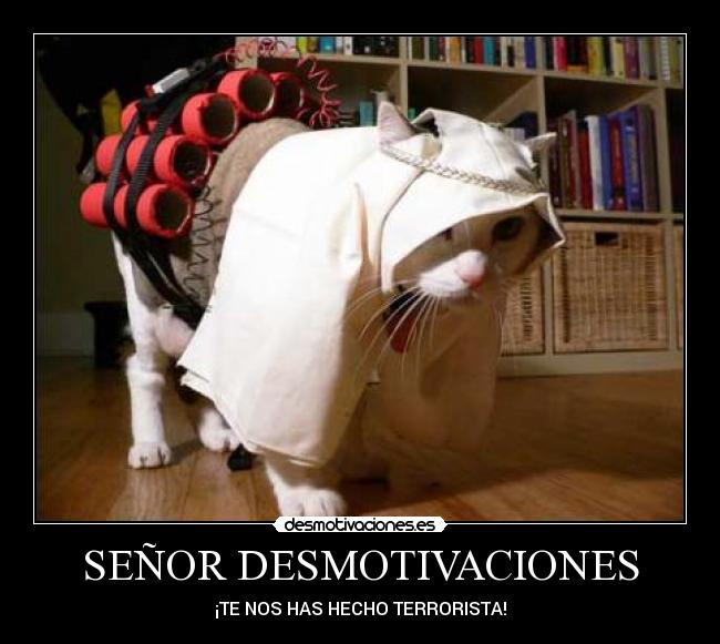 SEÑOR DESMOTIVACIONES -