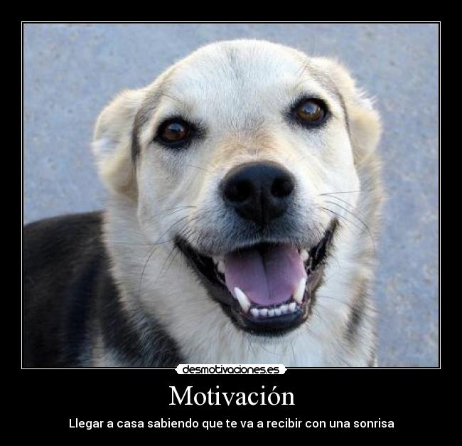 Motivación -