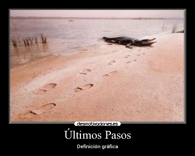 Últimos Pasos - 