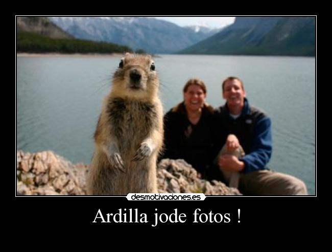 Ardilla jode fotos ! - 