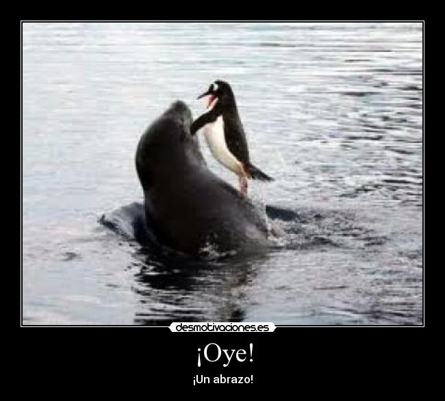 ¡Oye! - ¡Un abrazo!