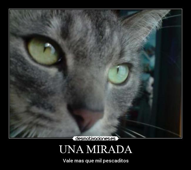 UNA MIRADA - 