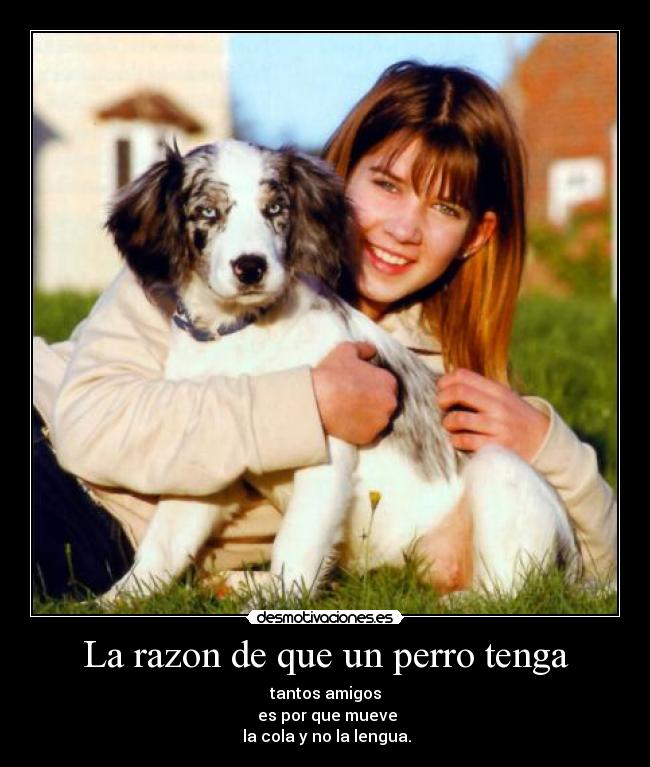 carteles desmotivaciones