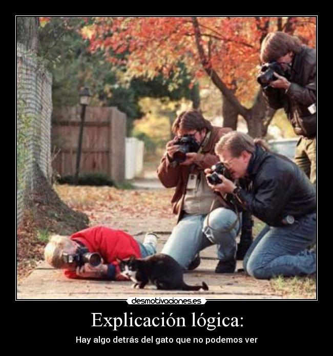 Explicación lógica: - Hay algo detrás del gato que no podemos ver