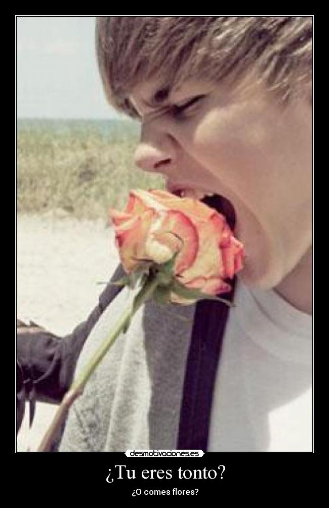 ¿Tu eres tonto? - ¿O comes flores?