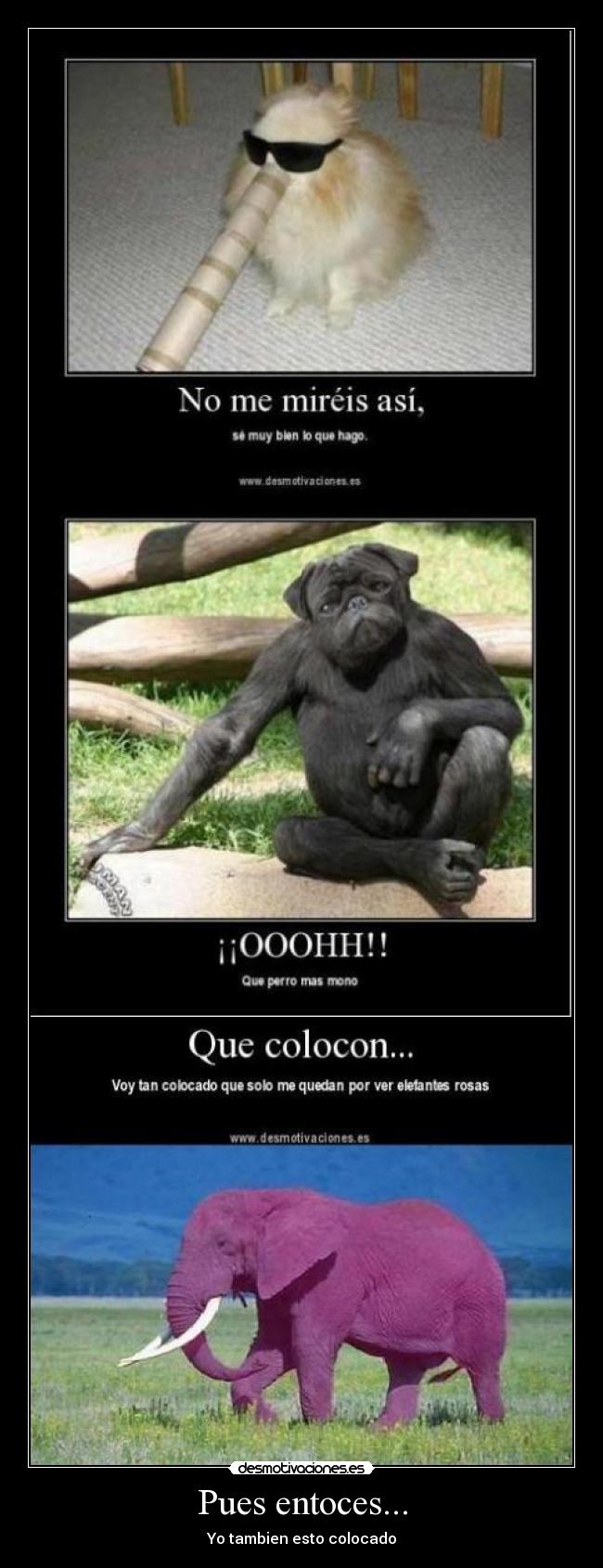 Pues entoces... - Yo tambien esto colocado