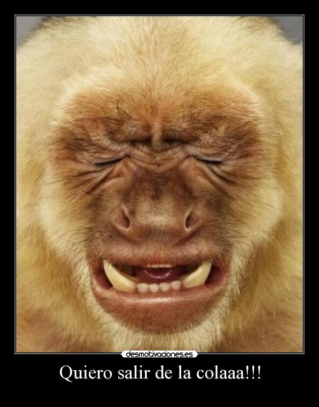 Quiero salir de la colaaa!!! -