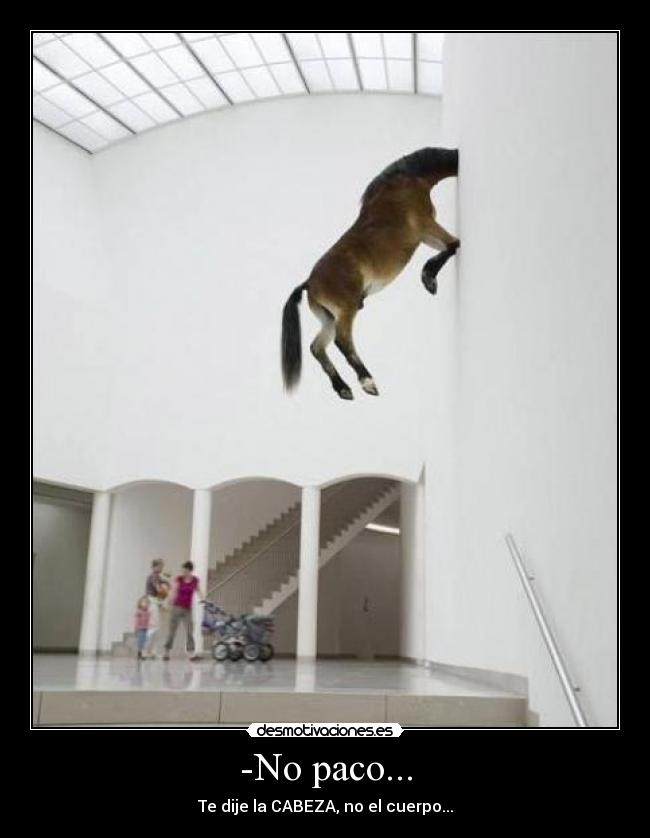 -No paco... - Te dije la CABEZA, no el cuerpo...