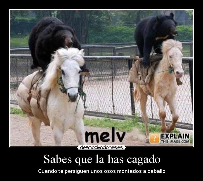 Sabes que la has cagado - Cuando te persiguen unos osos montados a caballo