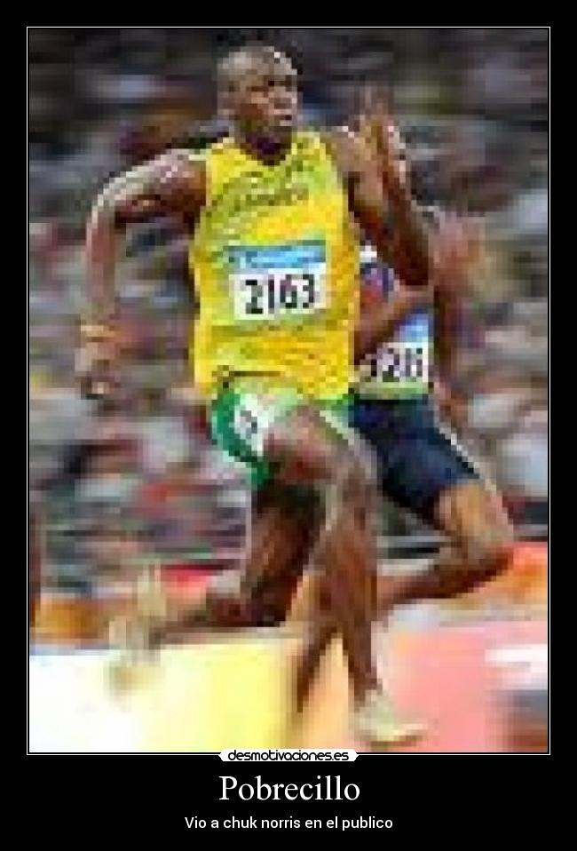 carteles alex bear desmotivaciones