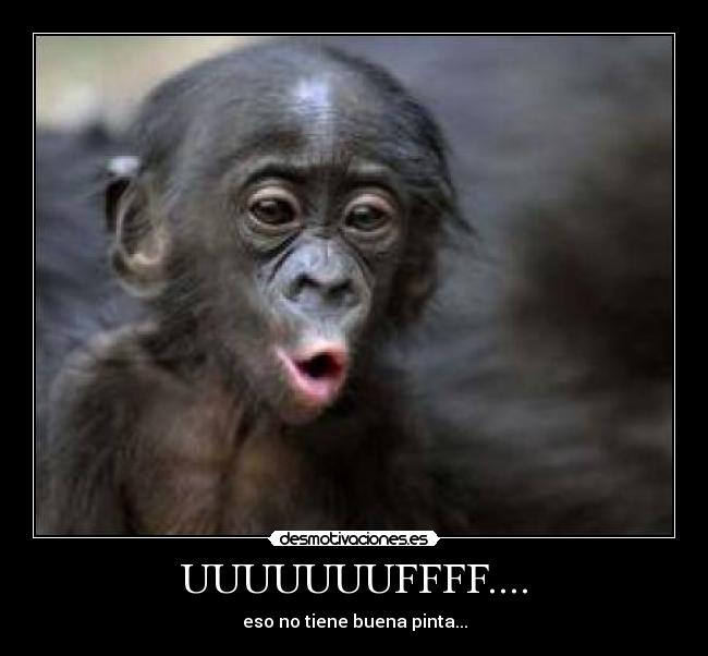 UUUUUUUFFFF.... - eso no tiene buena pinta...