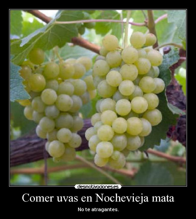 Comer uvas en Nochevieja mata - No te atragantes.