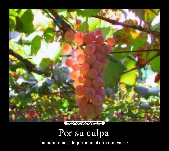 Por su culpa  - no sabemos si llegaremos al año que viene 