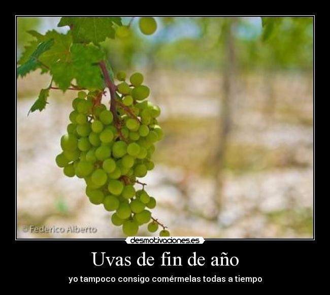 Uvas de fin de año - yo tampoco consigo comérmelas todas a tiempo
