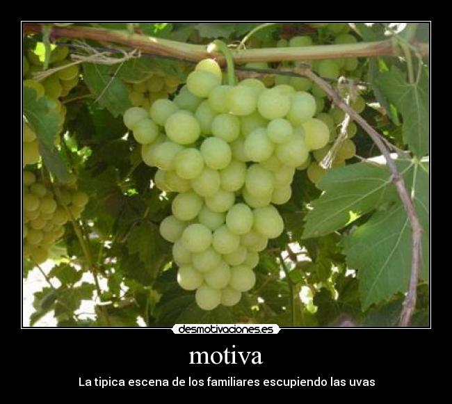 motiva - La tipica escena de los familiares escupiendo las uvas