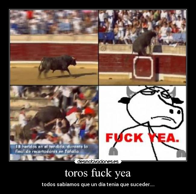 carteles toros fuck yea desmotivaciones