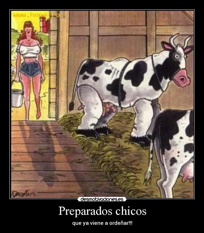 carteles tios con disfraz vaca xddd desmotivaciones