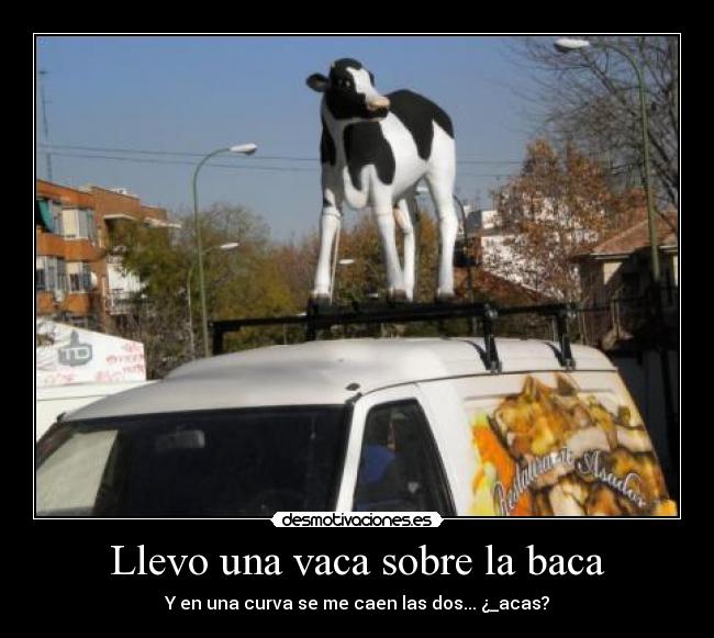 carteles vaca baca desmotivaciones juli18 desmotivaciones