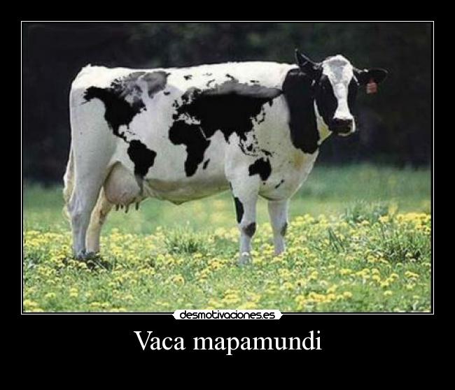Vaca mapamundi -