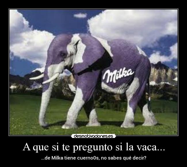A que si te pregunto si la vaca... - ...de Milka tiene cuerno0s, no sabes qué decir?