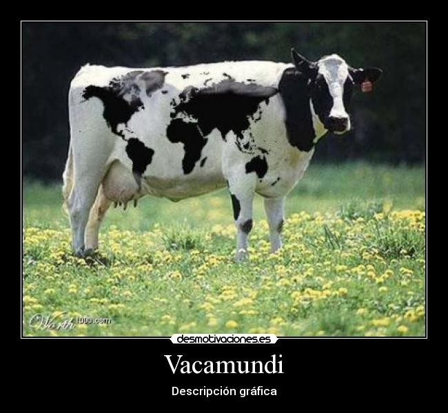 Vacamundi - 