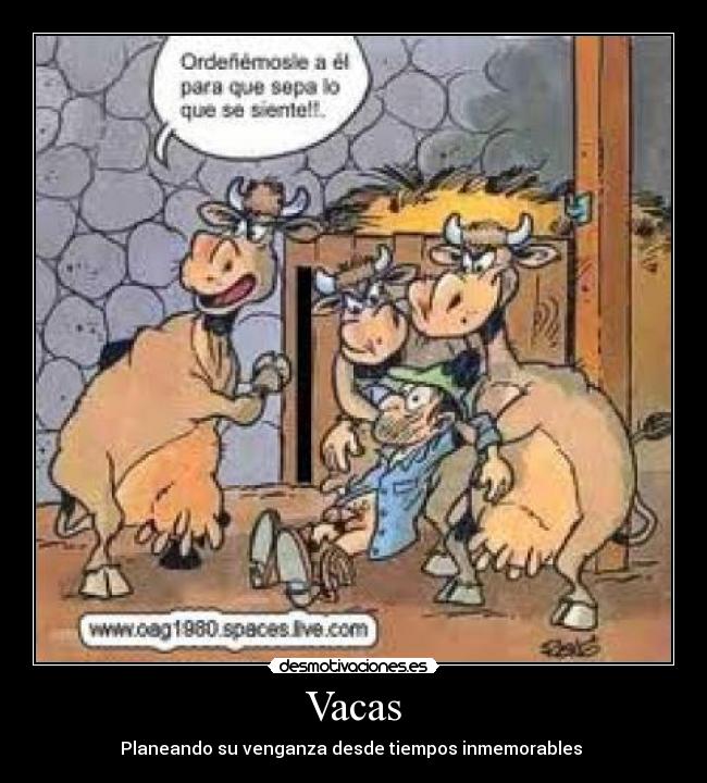Vacas -