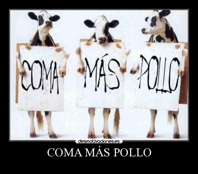 COMA MÁS POLLO -