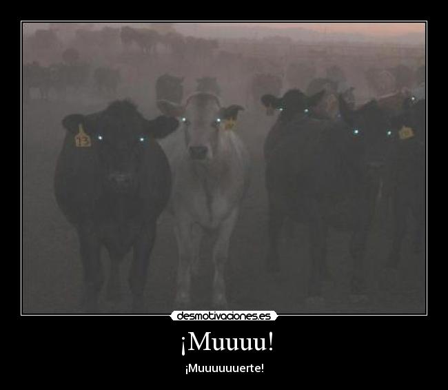 ¡Muuuu! -