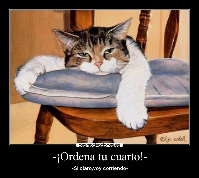 -¡Ordena tu cuarto!- - -Si claro,voy corriendo-