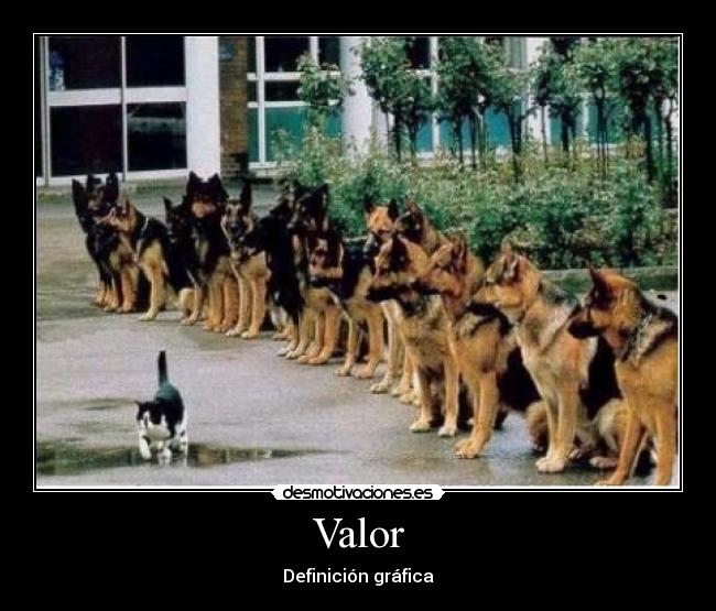 Valor - 