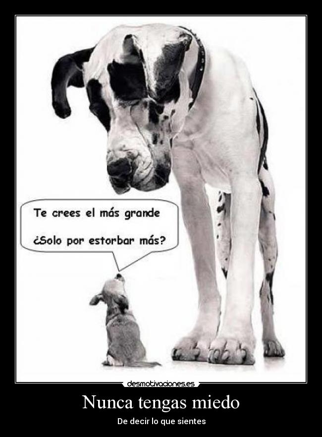 Nunca tengas miedo - De decir lo que sientes