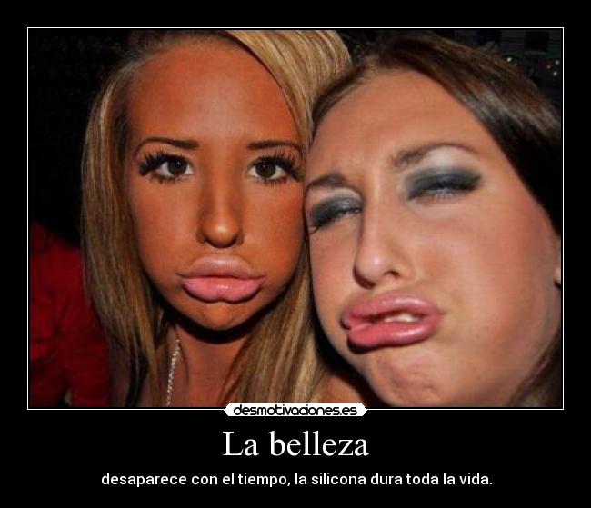 La belleza - desaparece con el tiempo, la silicona dura toda la vida.