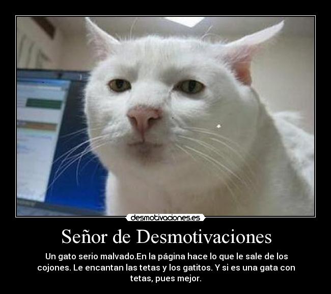 Señor de Desmotivaciones - Un gato serio malvado.En la página hace lo que le sale de los
cojones. Le encantan las tetas y los gatitos. Y si es una gata con
tetas, pues mejor.