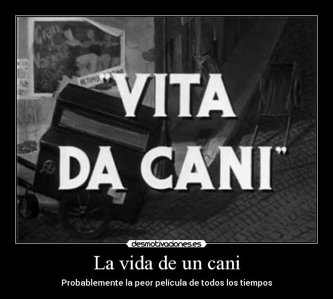 La vida de un cani - 