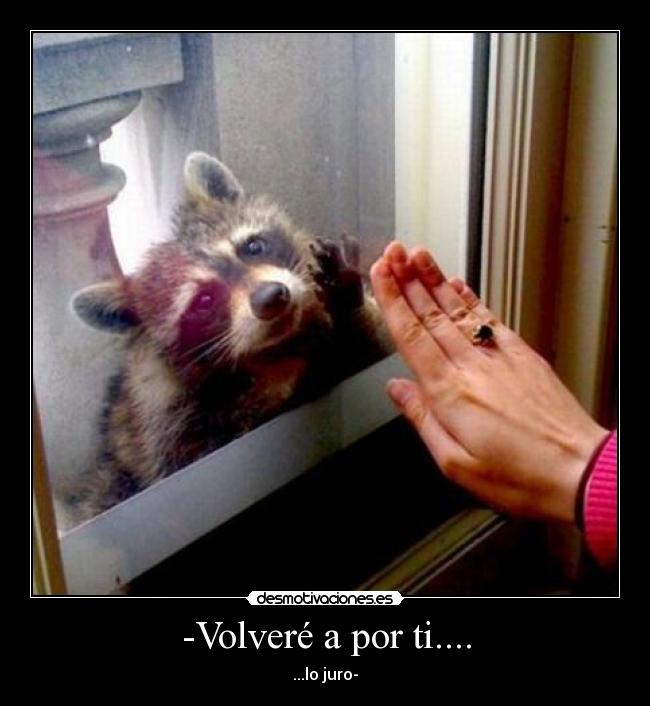 -Volveré a por ti.... - ...lo juro-