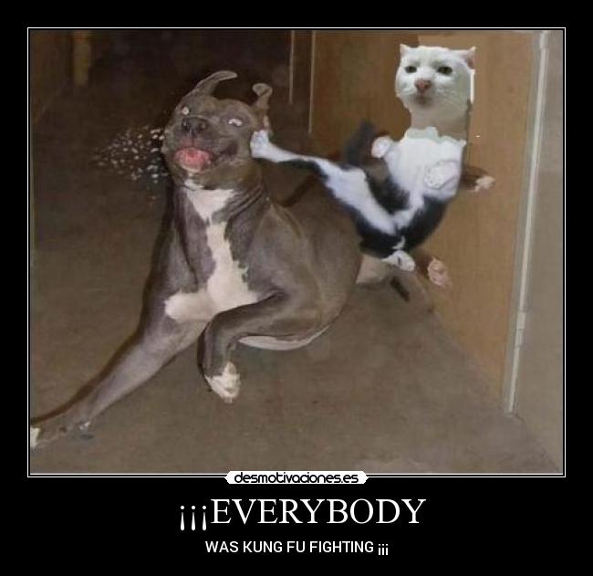  ¡¡¡EVERYBODY - WAS KUNG FU FIGHTING ¡¡¡