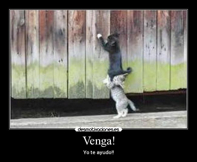 Venga! - 